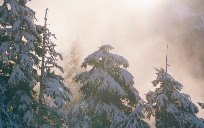 До +6 градусов тепла: синоптики дали прогноз на понедельник